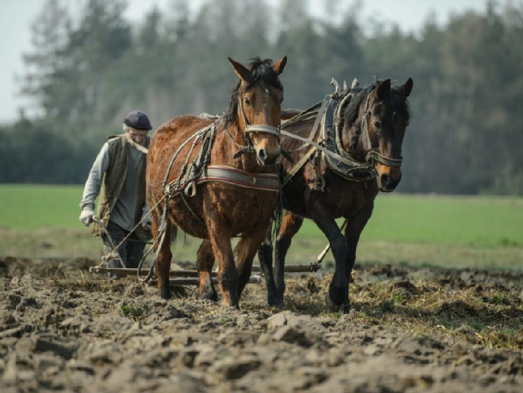 MRiRW ostrzega: nie ma unijnego rejestru rolników ekologicznych